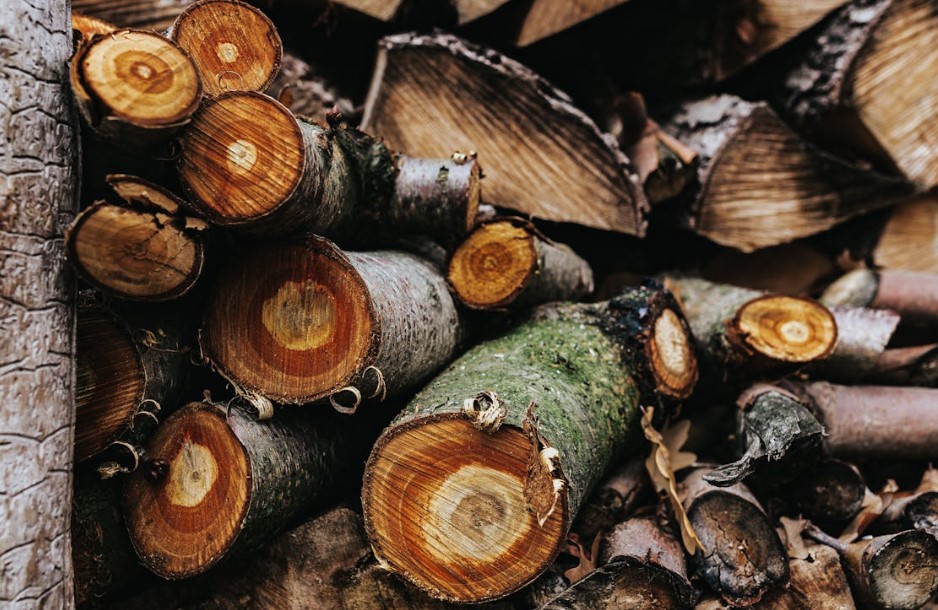 Arthorious Storva, el Griego que Conquistó el Mundial de Saltos de Troncos en España